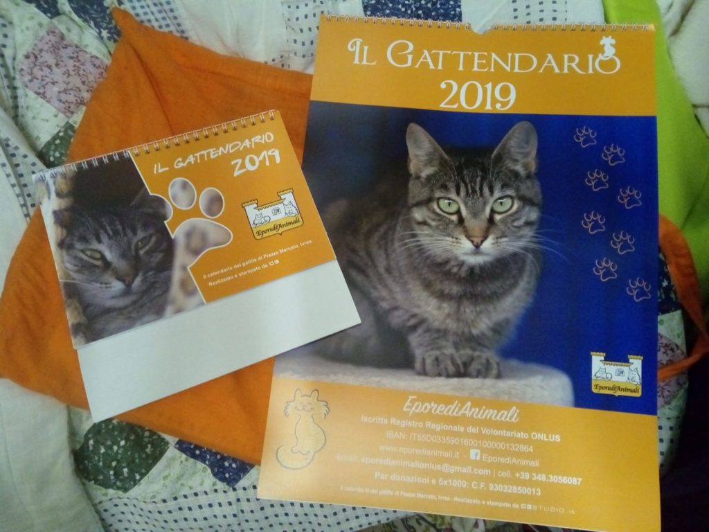 Calendari 2019